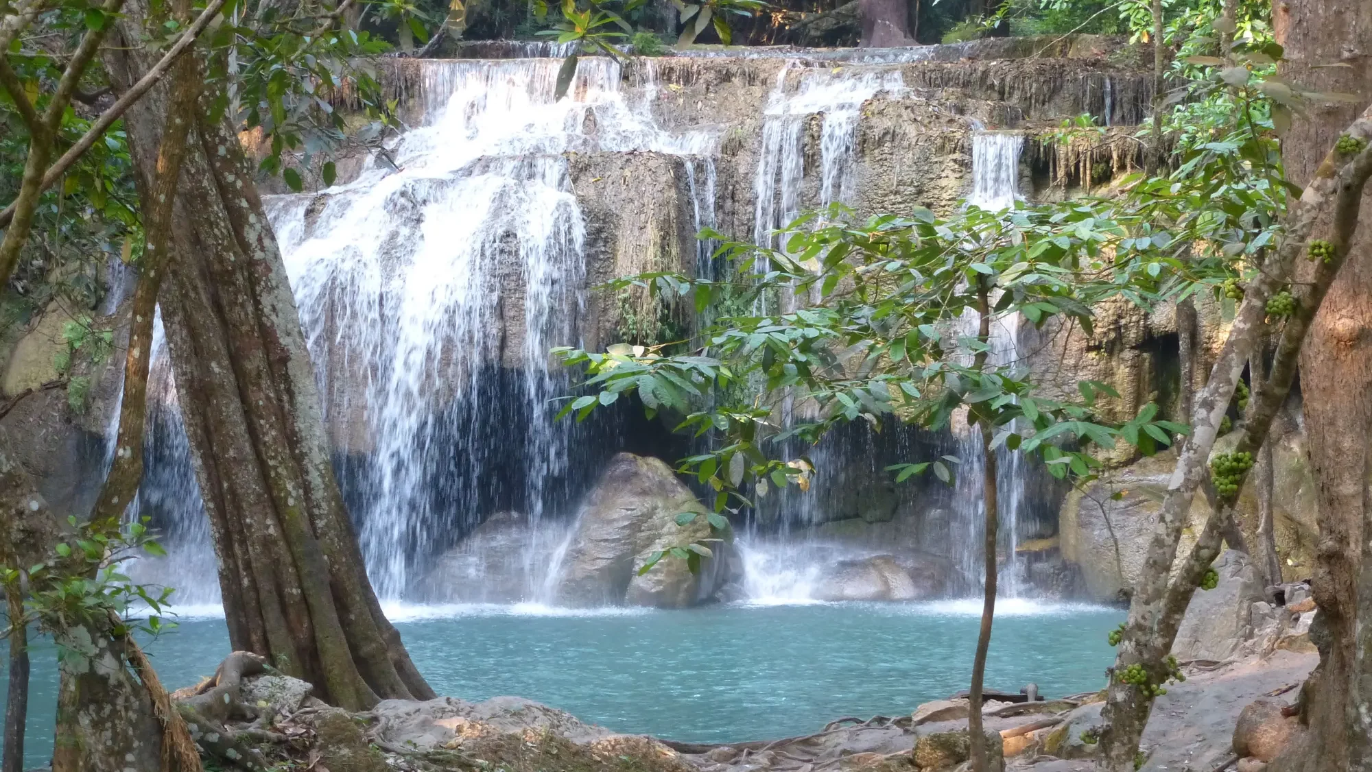 Voluntariado en Tailandia