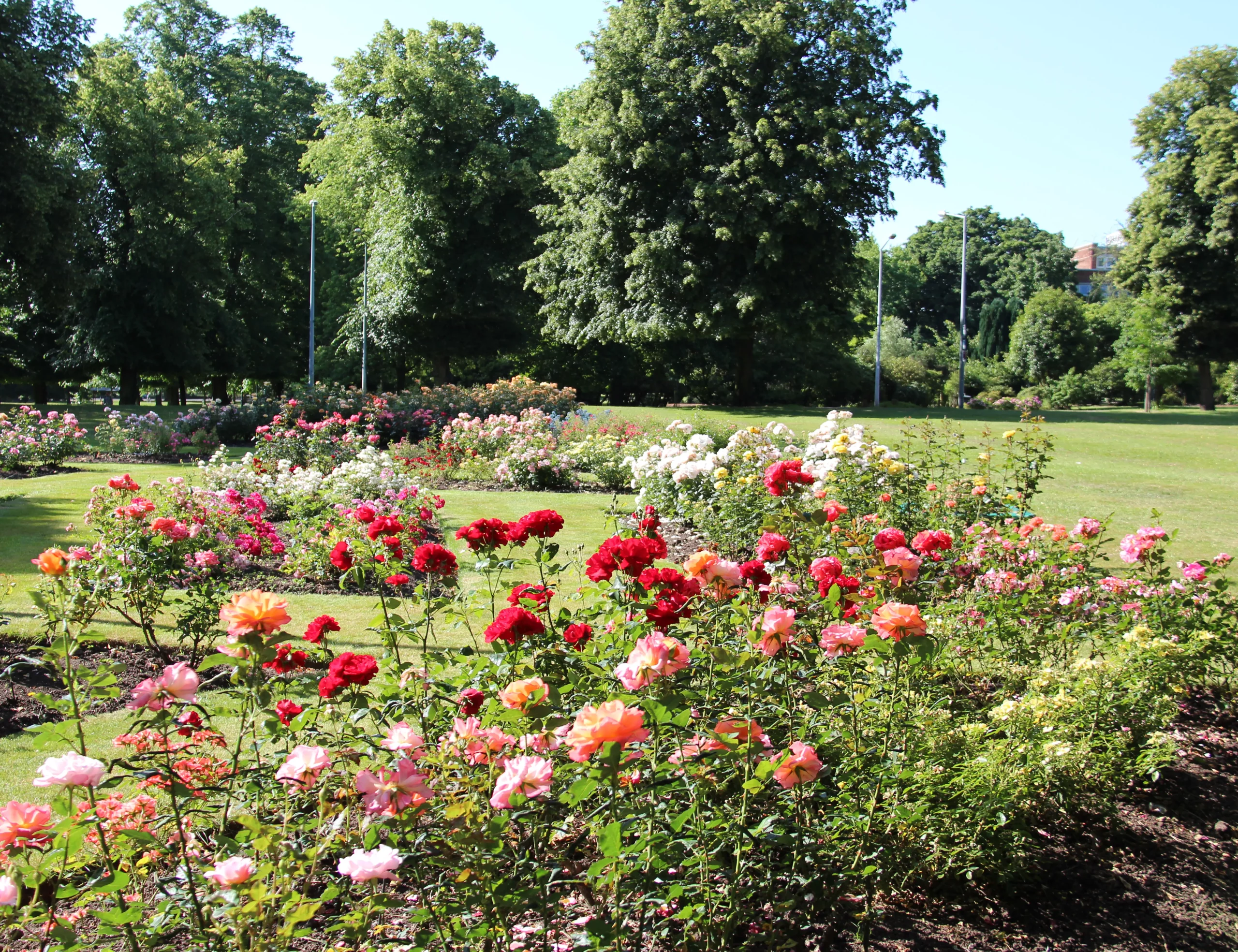 Conocerás los famosos parques de Southampton