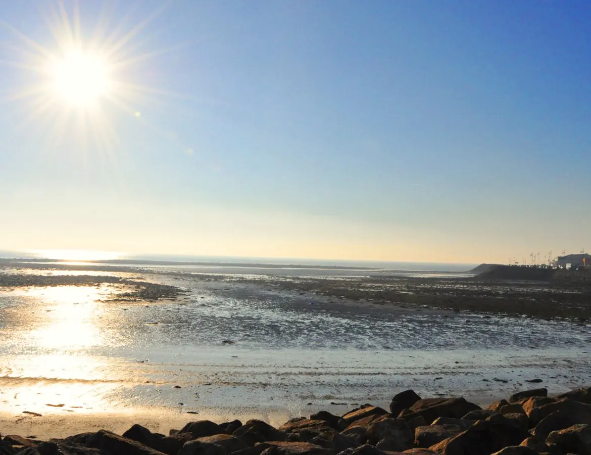 Actividades para estudiantes del curso de Inglés para mayores de 50 años en Galway de Where&What