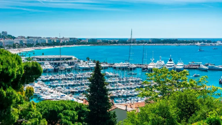 frances para young adults en Cannes