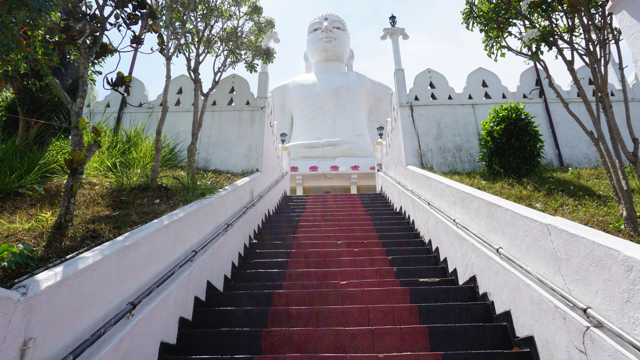 voluntariados para toda la familia