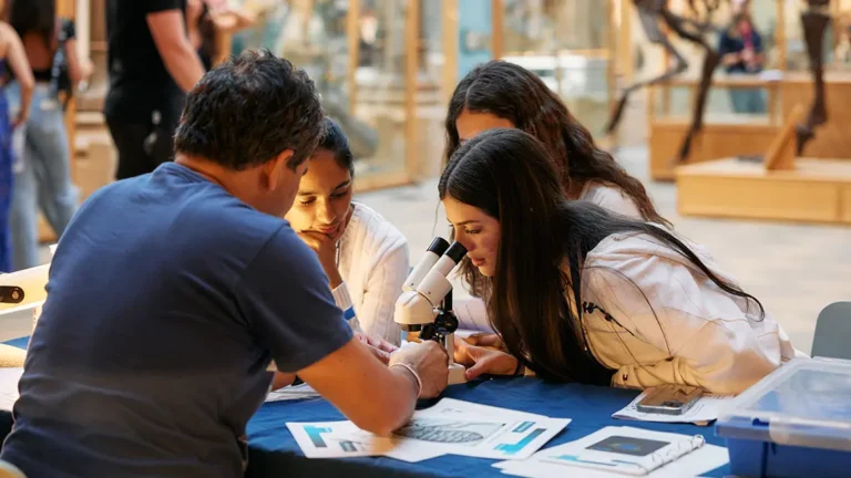 CURSOS ESPECIALIZADOS para Young Adults