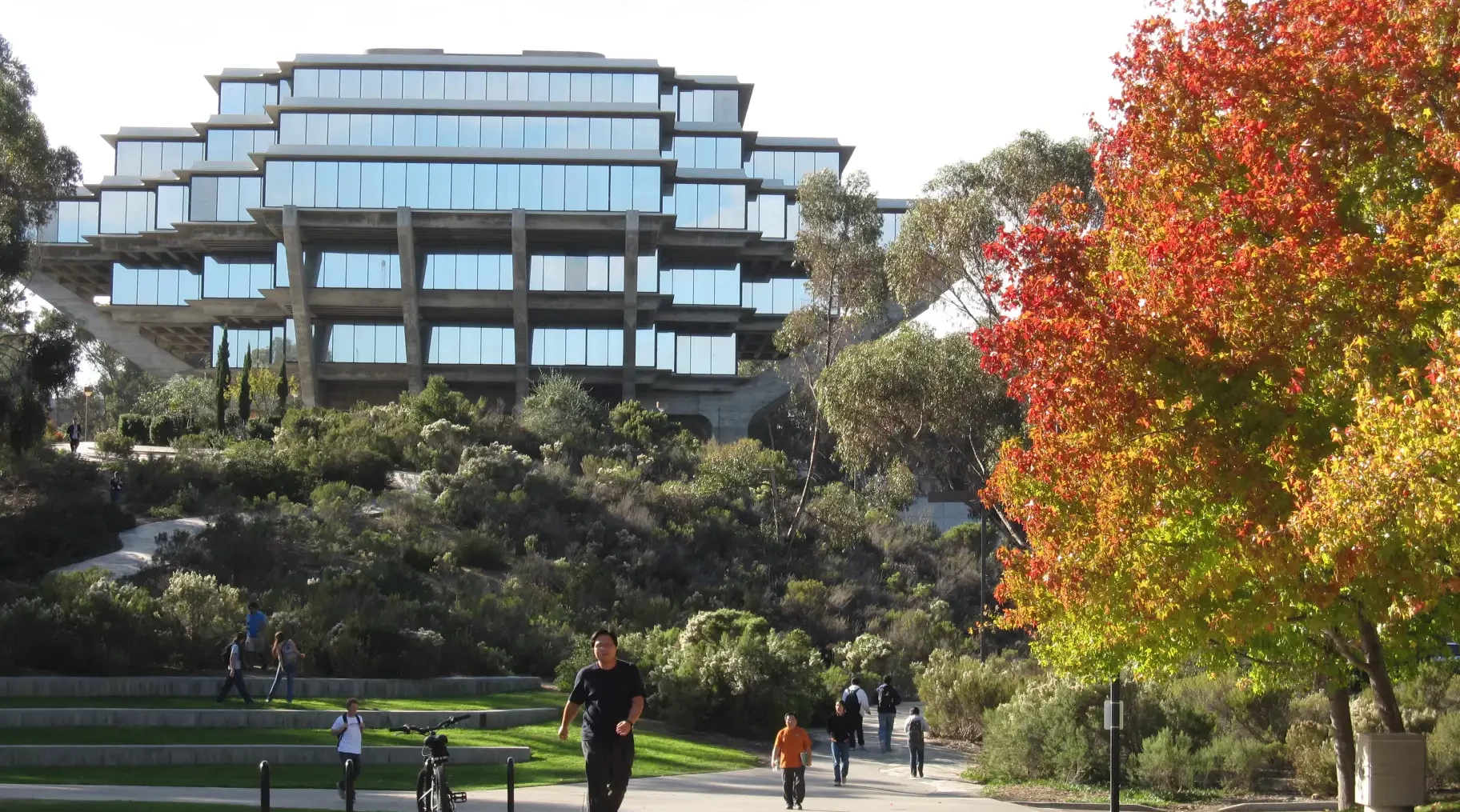 Study Abroad (3, 6 o 9 meses)	