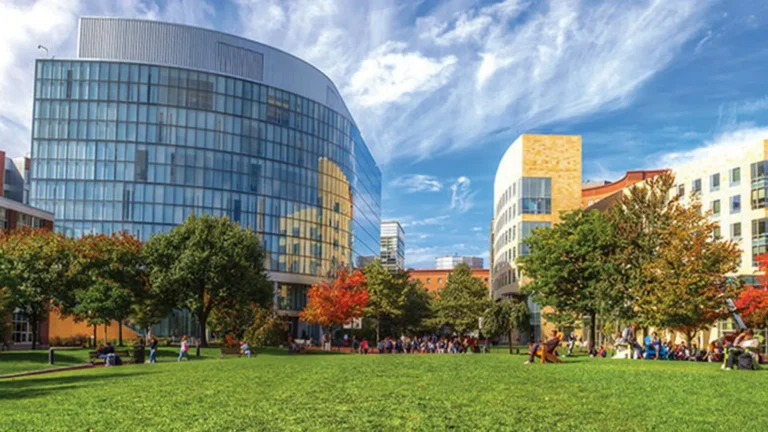 Grado universitario en Estados Unidos