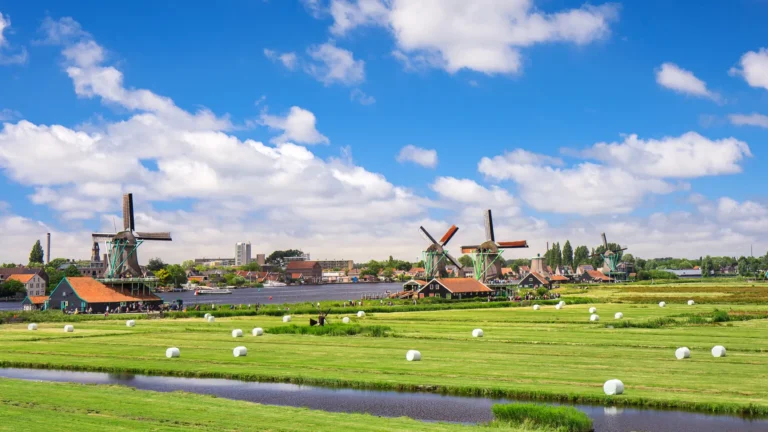 Grado universitario en Holanda