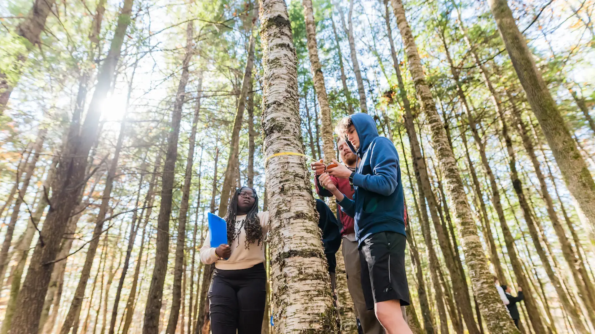 alumnos realizando clase en el bosque en el curso escolar en estados unidos en Kents Hill School