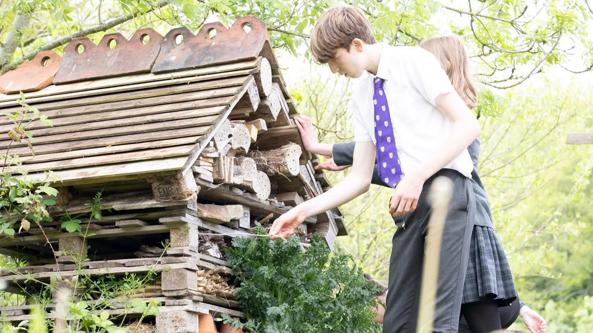 alumnos en entorno natural creando un hotel de insectos en el curso escolar en inglaterra en Kingsley School Bideford