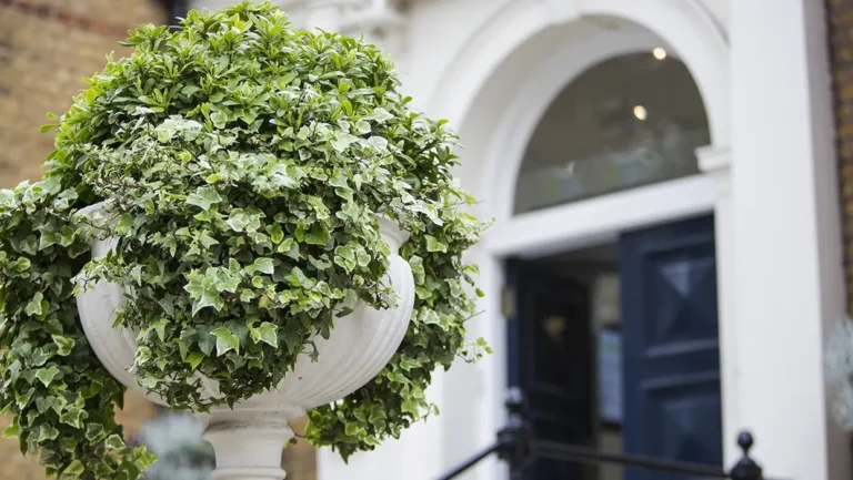 Cursos de Executive English en Londres Kensington