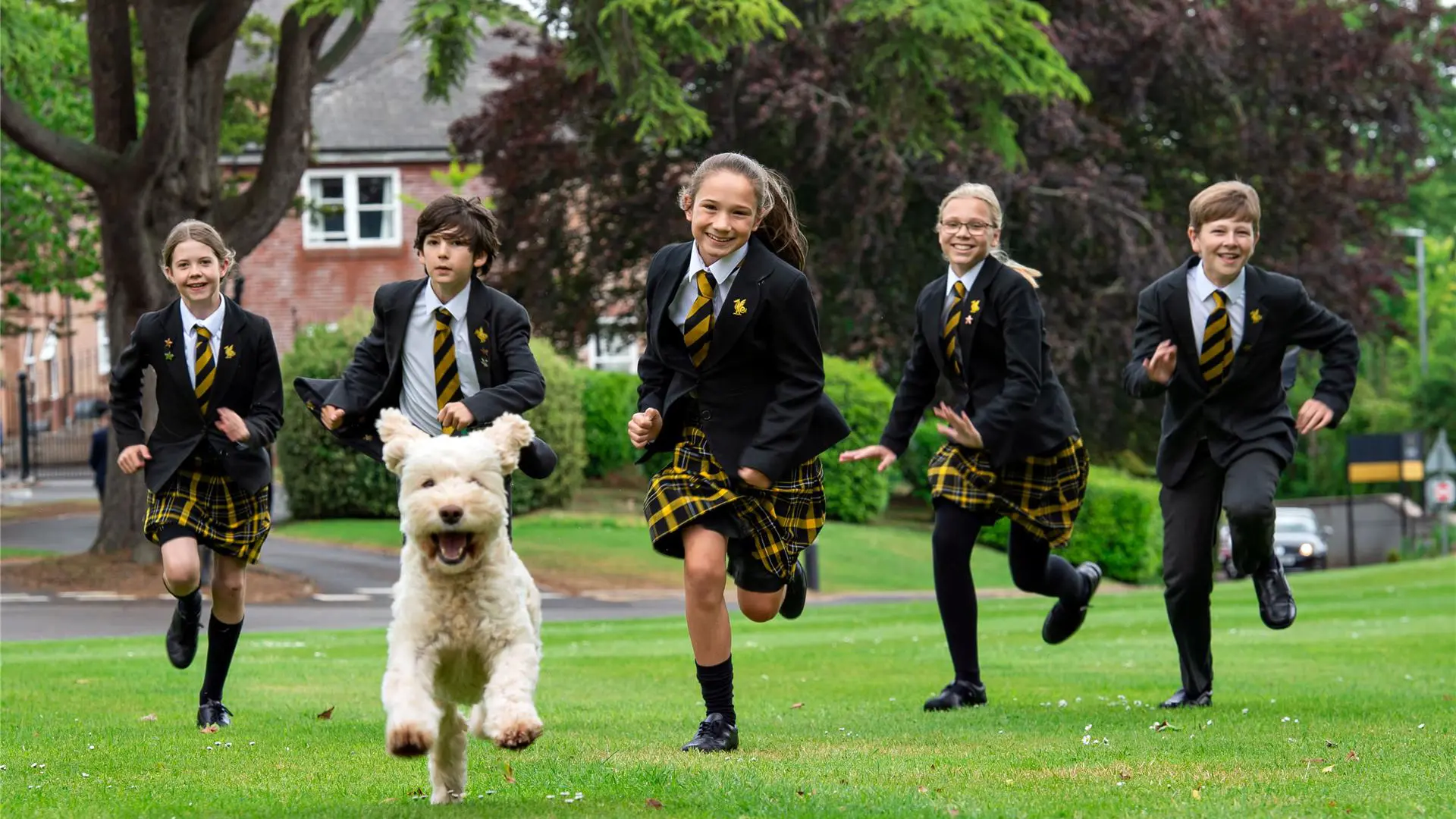 alumnos jugando en el cesped del campus con el perro del colegio en el curso escolar en inglaterra en Queen’s College