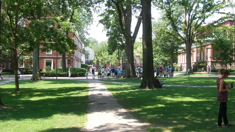 Summer Courses en Estados Unidos