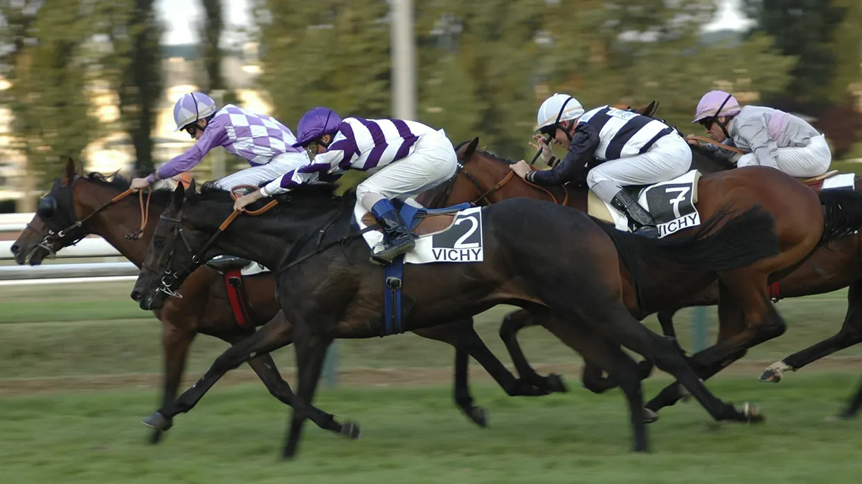 Vichy. Curso de francés en Francia de Where&What